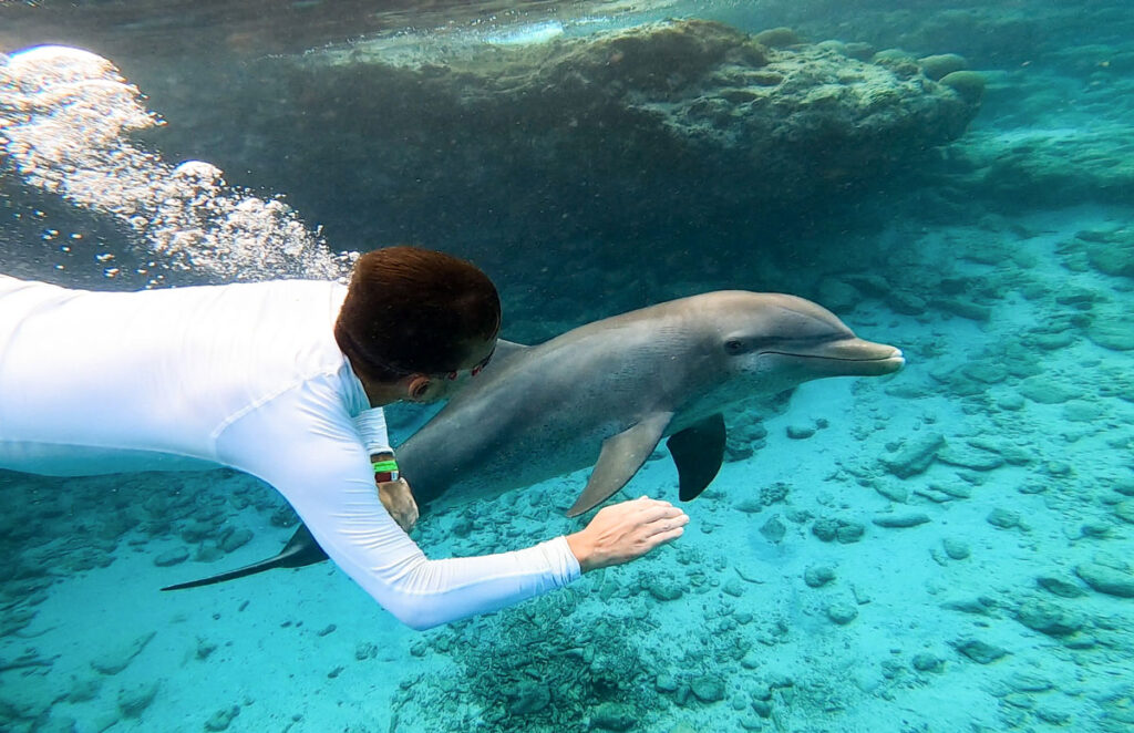 Curacao-vodič-dupini