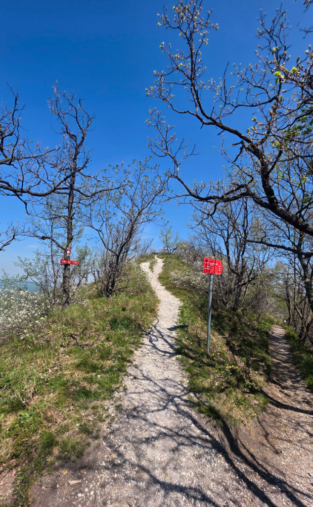 Oštrc-planinarenje-staza