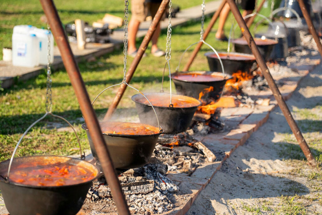 Arhiva-DunavFest_foto-Vedran-Culjak_06-(1)