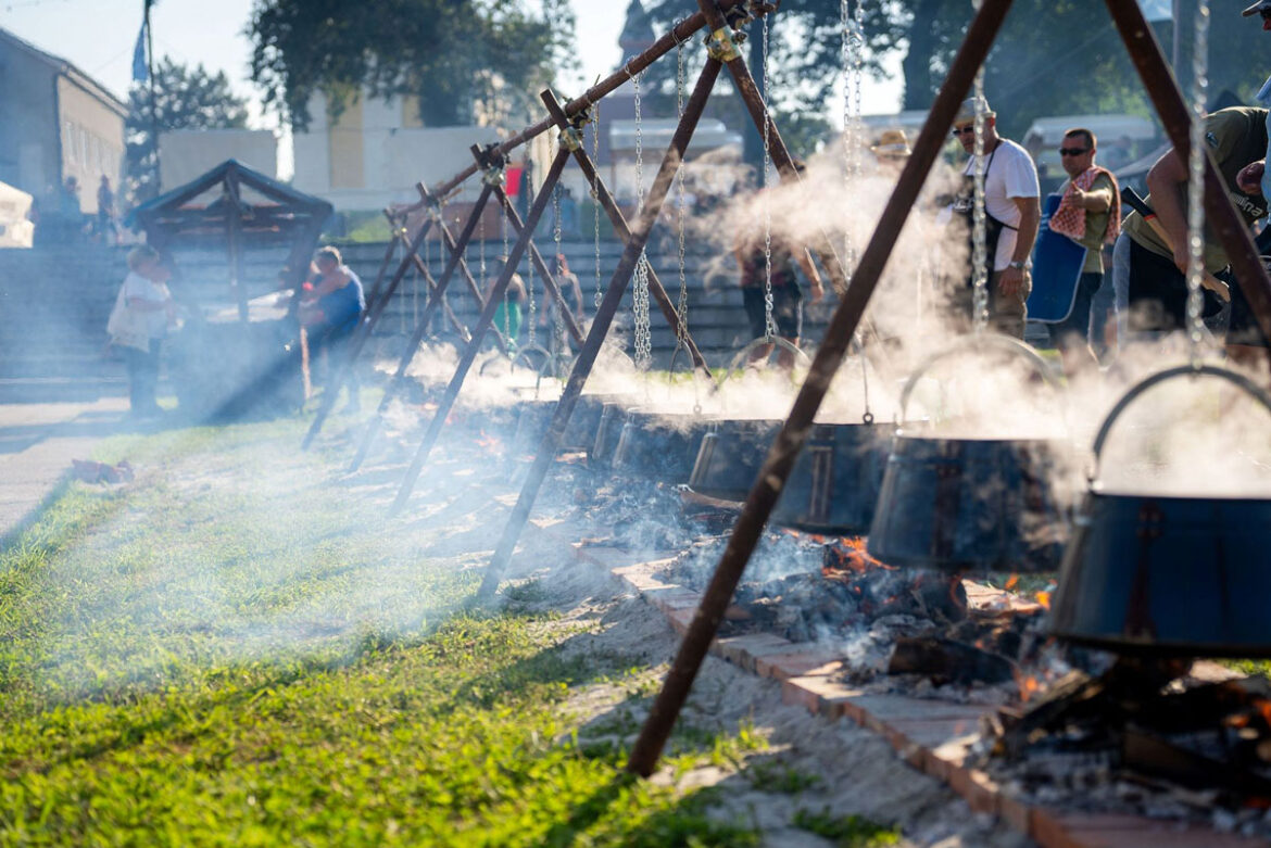 Dunav-Fest-Vukovar-foto-Vedran-Culjak