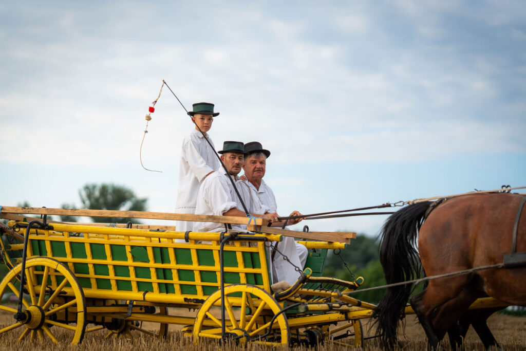 Tradicijske-žetvene-svečanosti-u-Županji-naslovna-kočija-i-ljudi