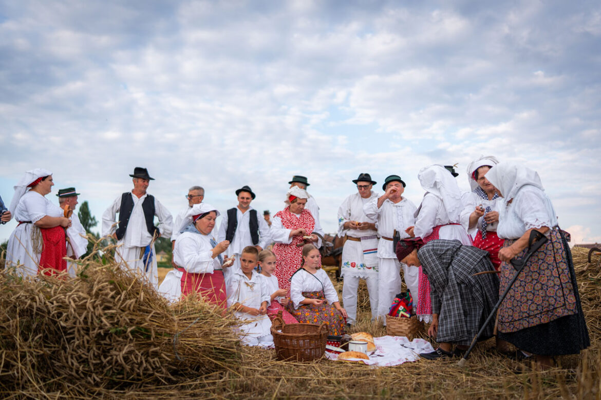 Tradicijske-zetvene-svecanosti-u-Zupanji-naslovna-polje