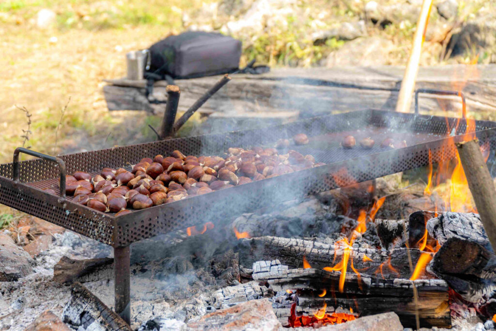 Pečeni kesteni na Zelinskoj kestenijadi na Kladeščici