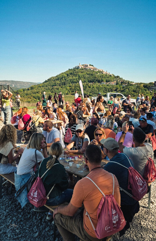 Teran Wine & Walk Motovun 2026 mobitel